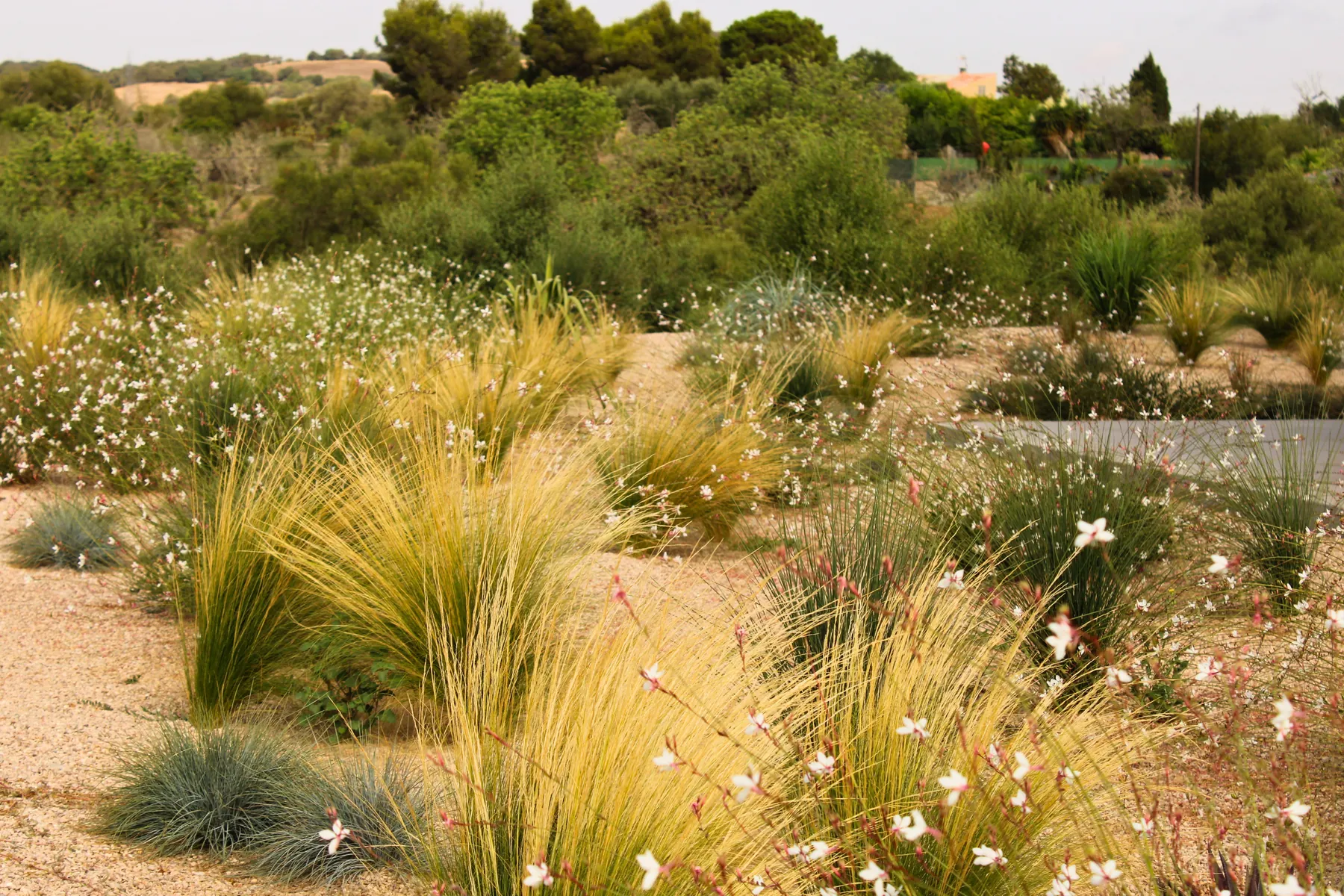 SANT LLORÉNC ESTATE GARDEN MALLORCA SESTEPA DESIGN