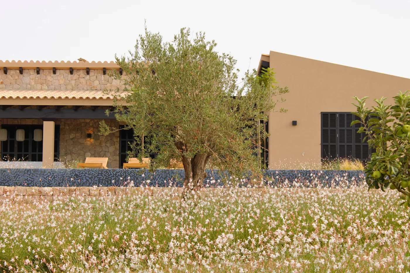 Sant Llorenç — Garden Design Sant Llorenç des Cardassar Mallorca, Image 3