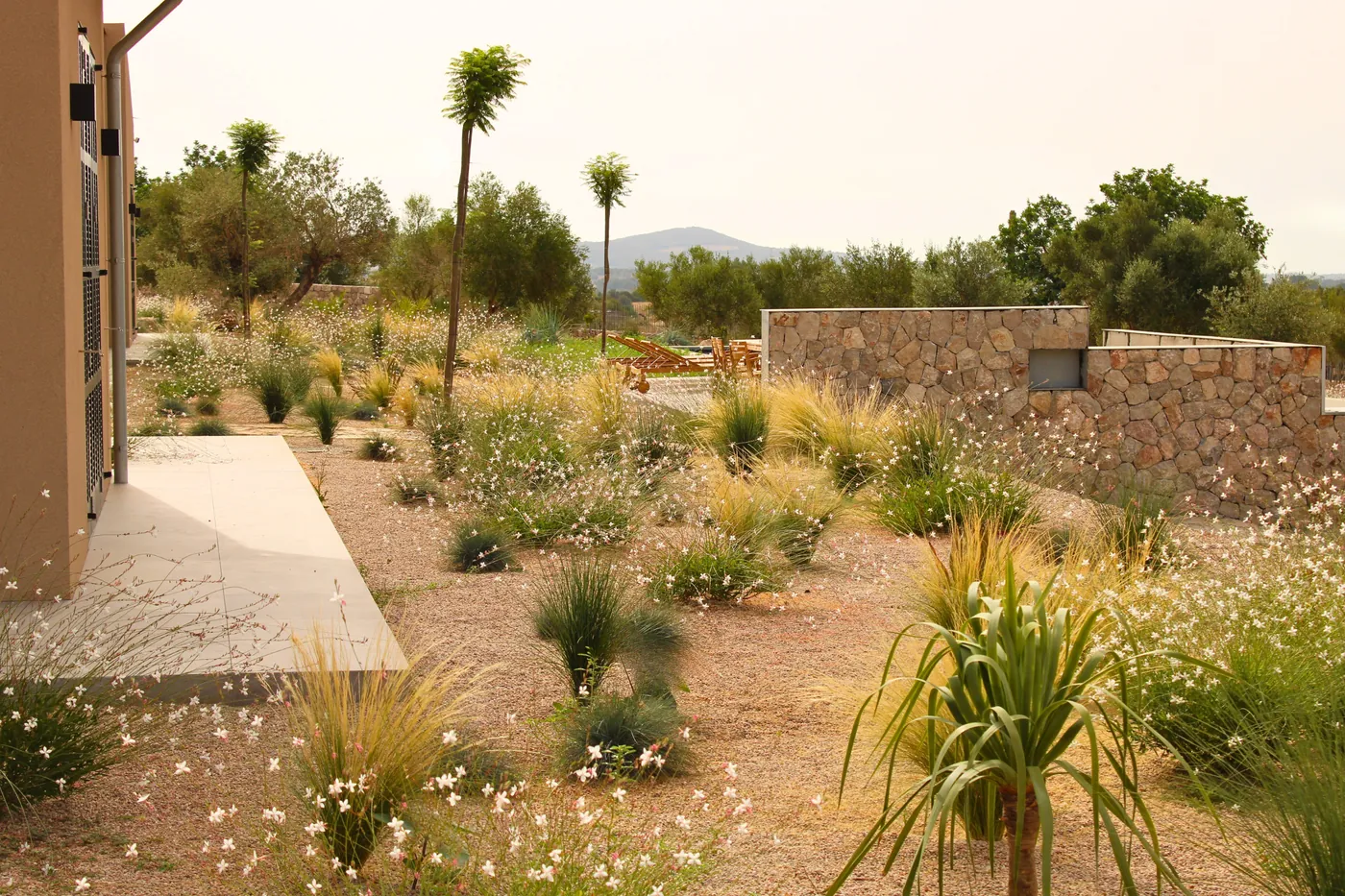 Sant Llorenç — Garden Design Sant Llorenç des Cardassar Mallorca, Image 4