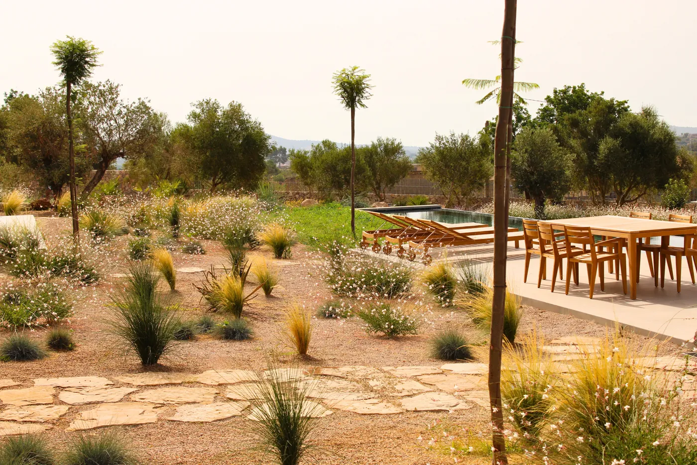 Sant Llorenç — Garden Design Sant Llorenç des Cardassar Mallorca, Image 8
