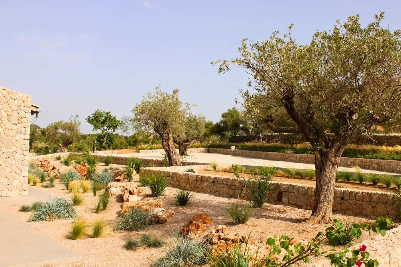 Sant Llorenç — Garden Design Sant Llorenç des Cardassar Mallorca, Image 9