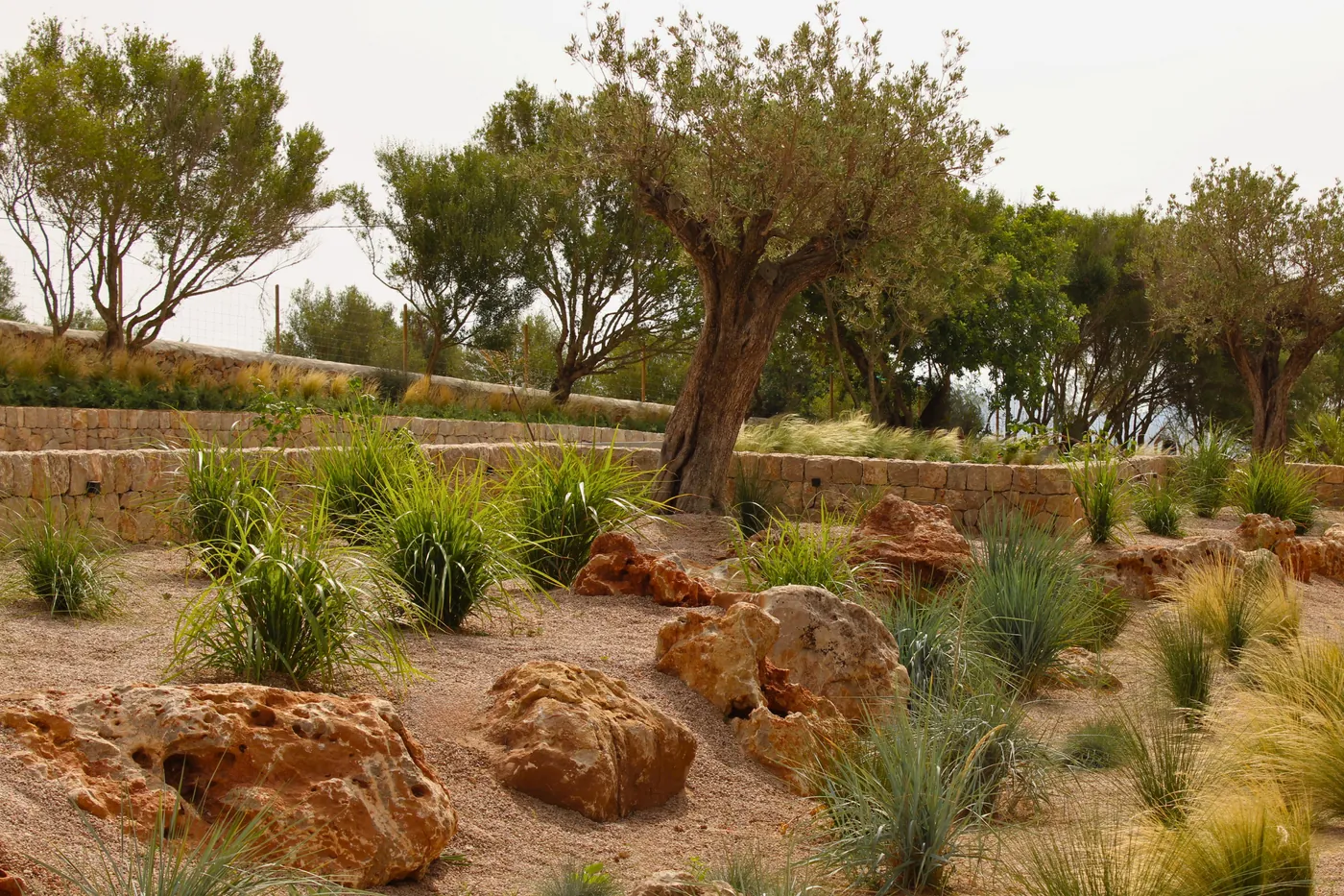 Sant Llorenç — Garden Design Sant Llorenç des Cardassar Mallorca, Image 12
