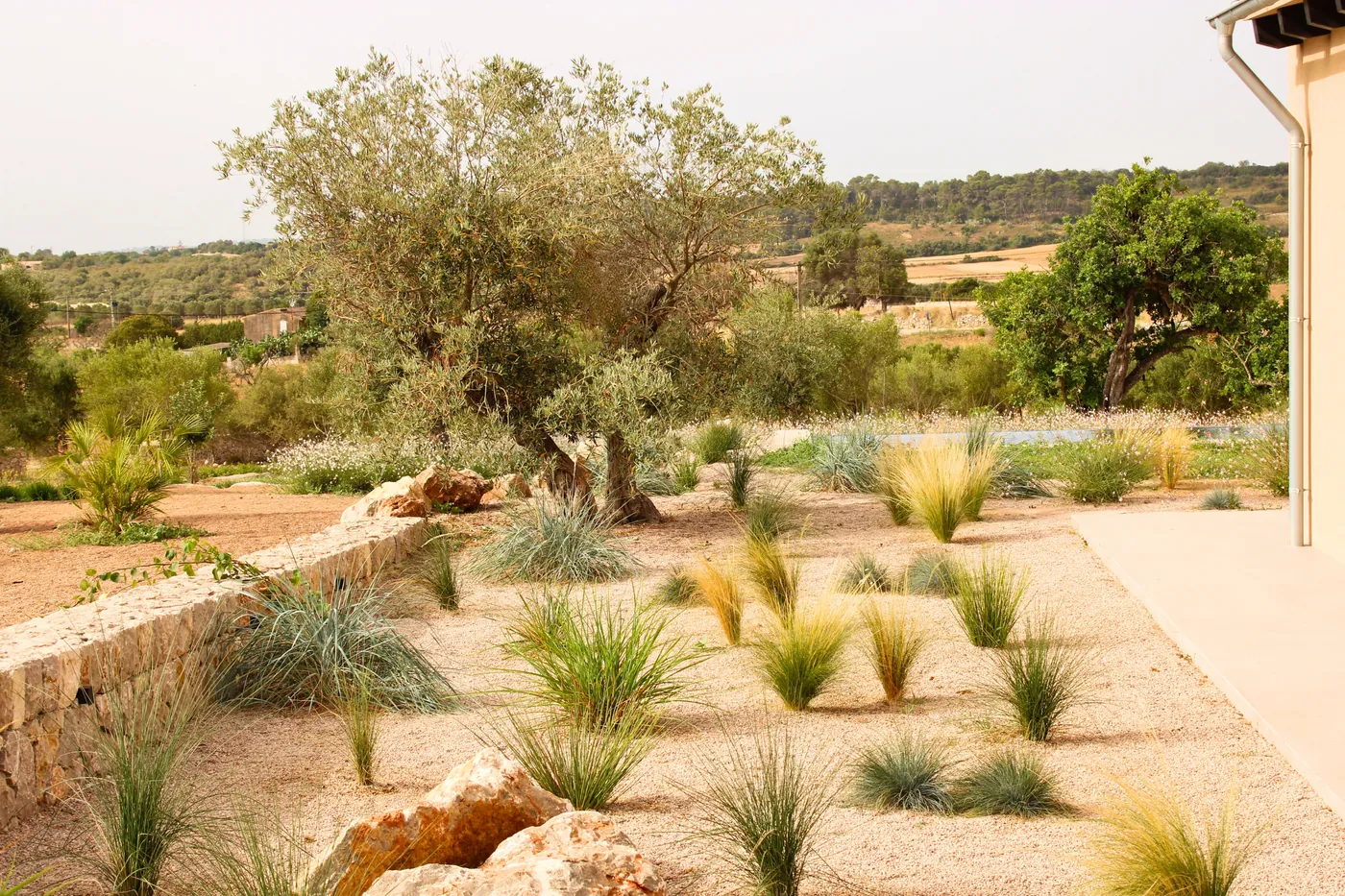 Sant Llorenç — Garden Design Sant Llorenç des Cardassar Mallorca, Image 21