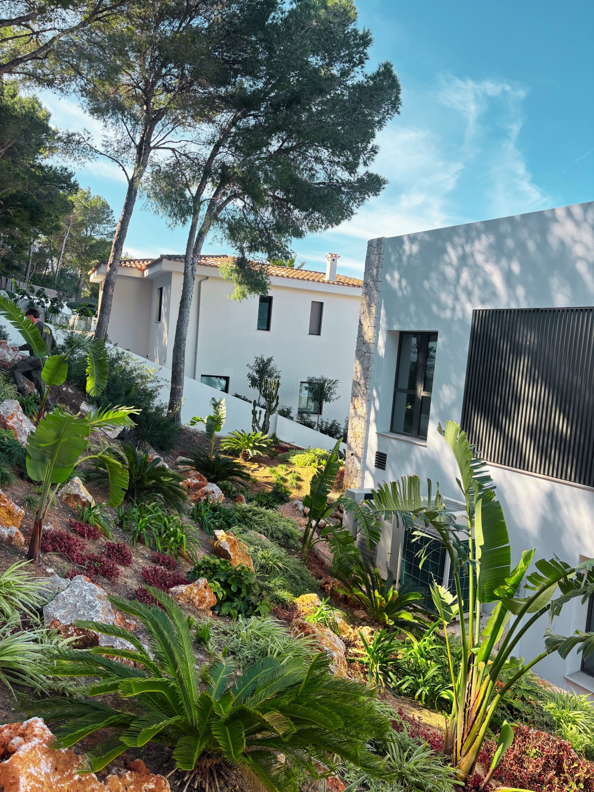 Santa Ponsa — Garden Design Santa Ponsa, Calvià Mallorca, Image 5