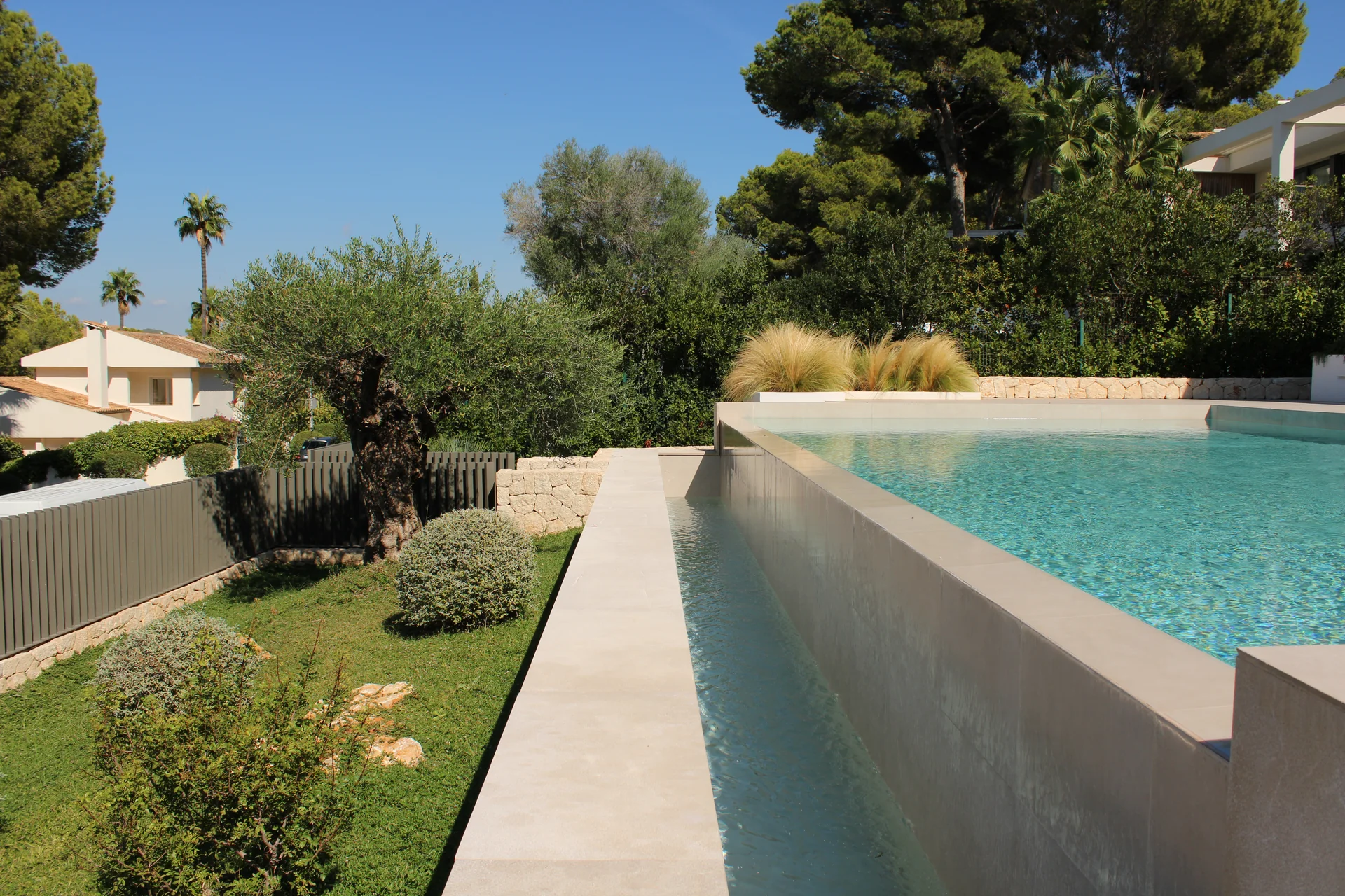 Borde desbordante de la piscina y canal de agua con vistas al césped inferior y al olivo centenario - S'Estepa Design