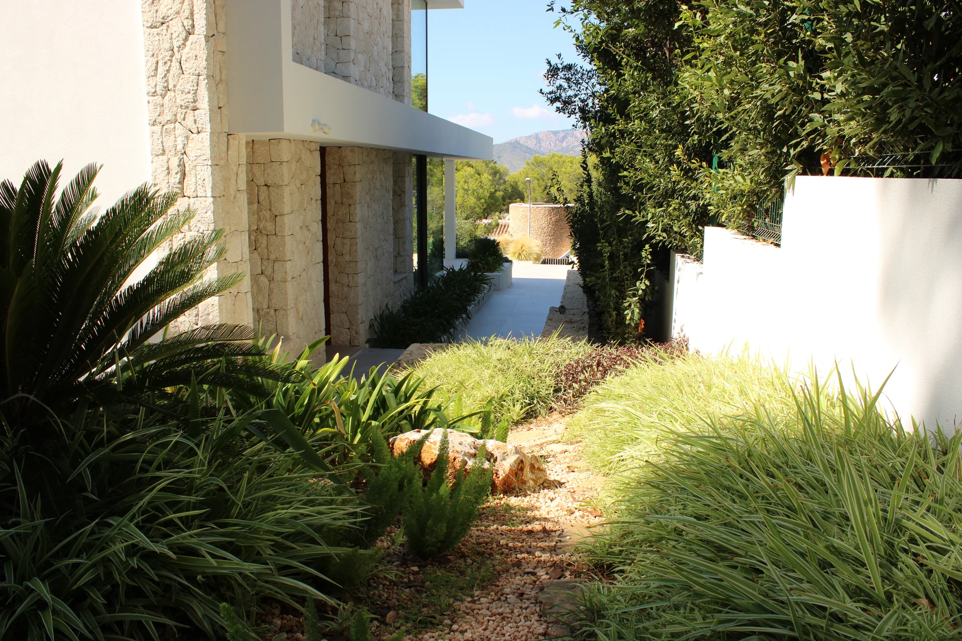 Camino lateral flanqueado por Chlorophytum, helechos y Cycas revoluta junto a la fachada de piedra - S'Estepa Design