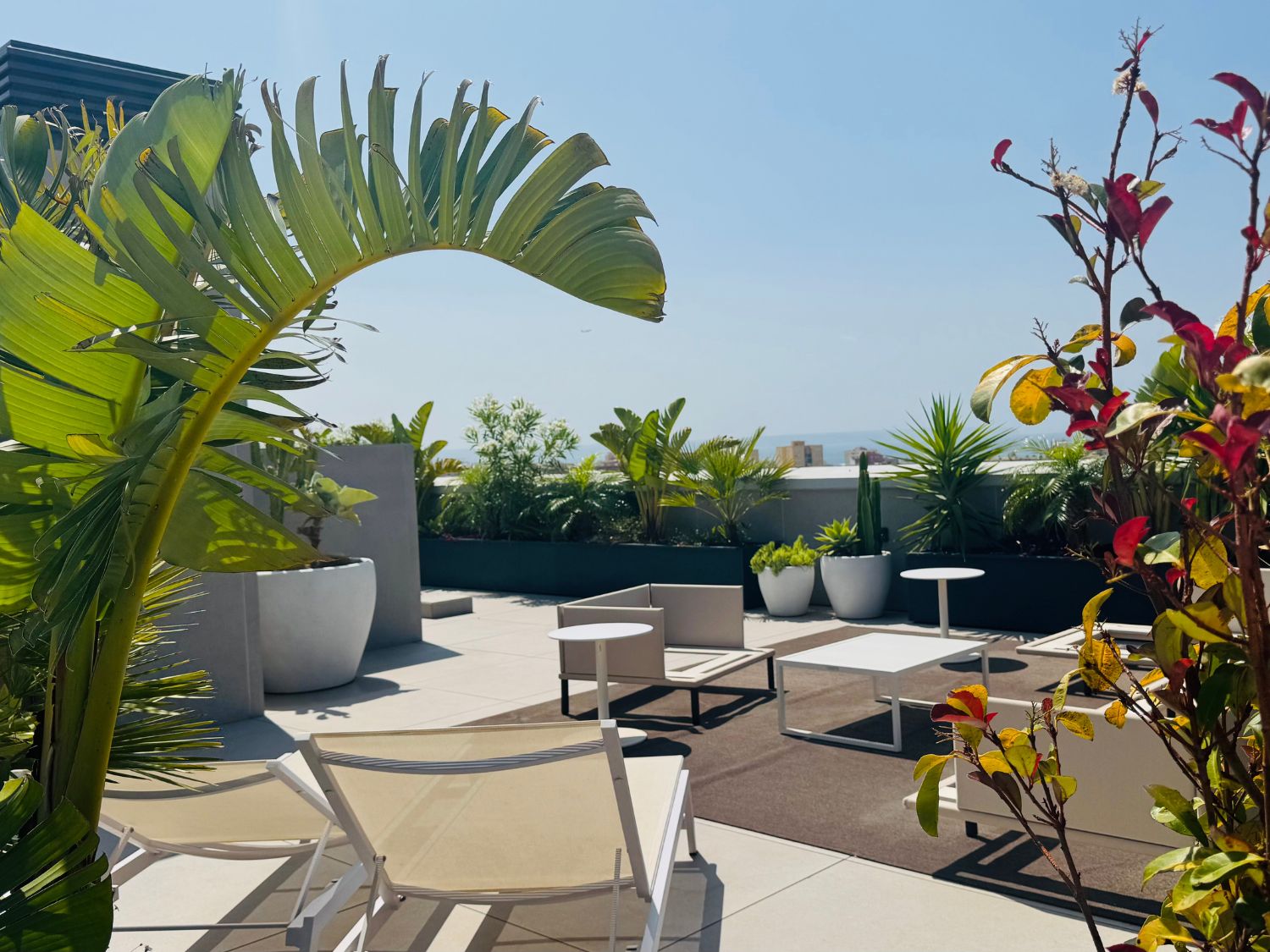 Palma Terrace