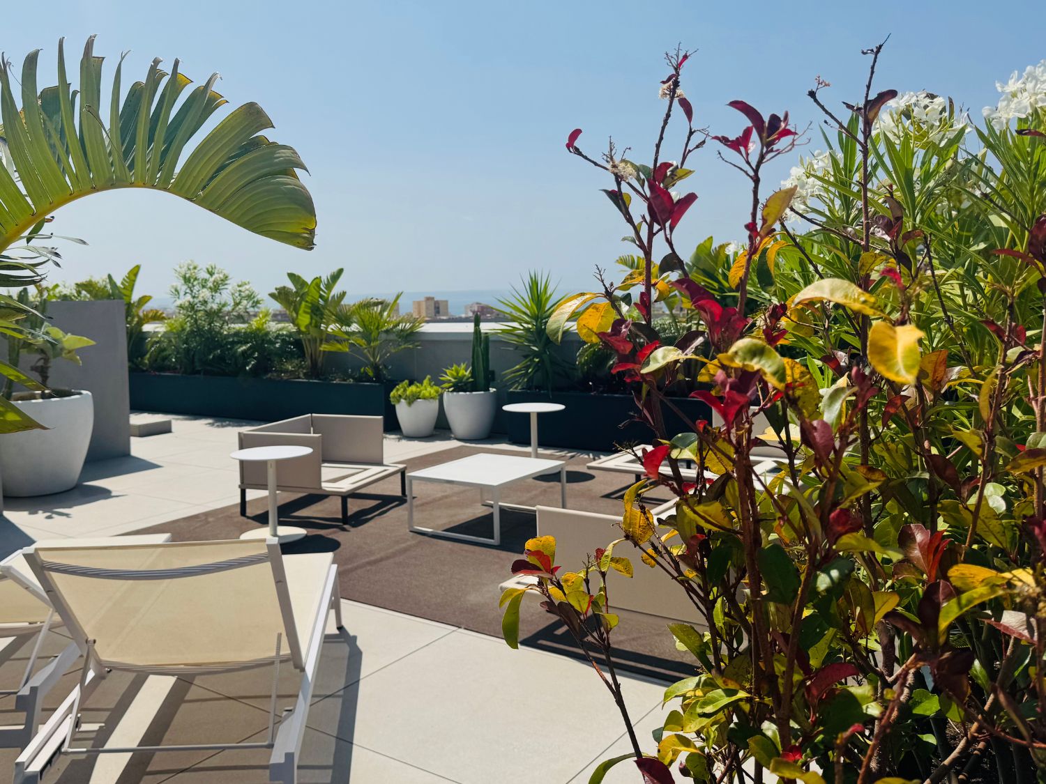 Palma Terrace detail 3