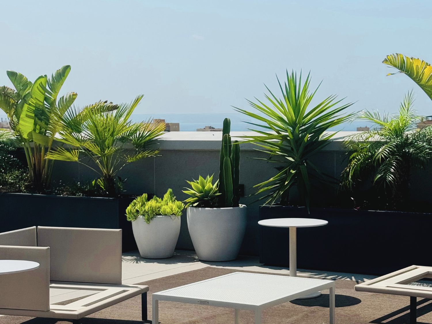 Palma Terrace detail 4