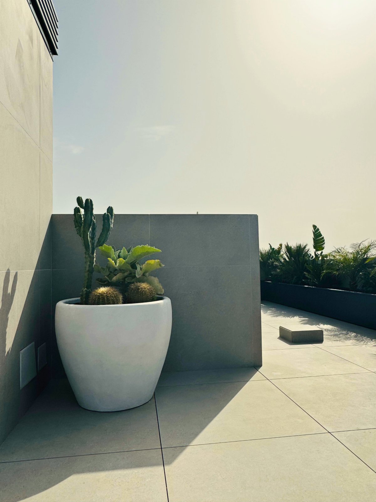 Palma Terrace — Garden Design Palma de Mallorca Mallorca, Image 3