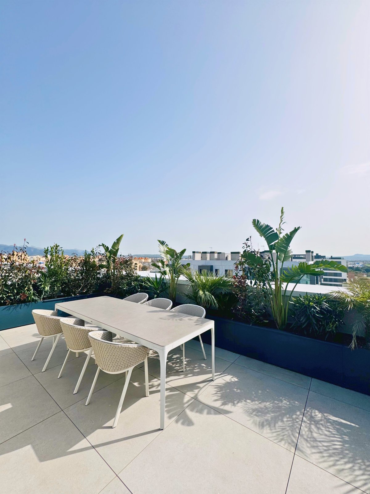 Palma Terrace — Garden Design Palma de Mallorca Mallorca, Image 4