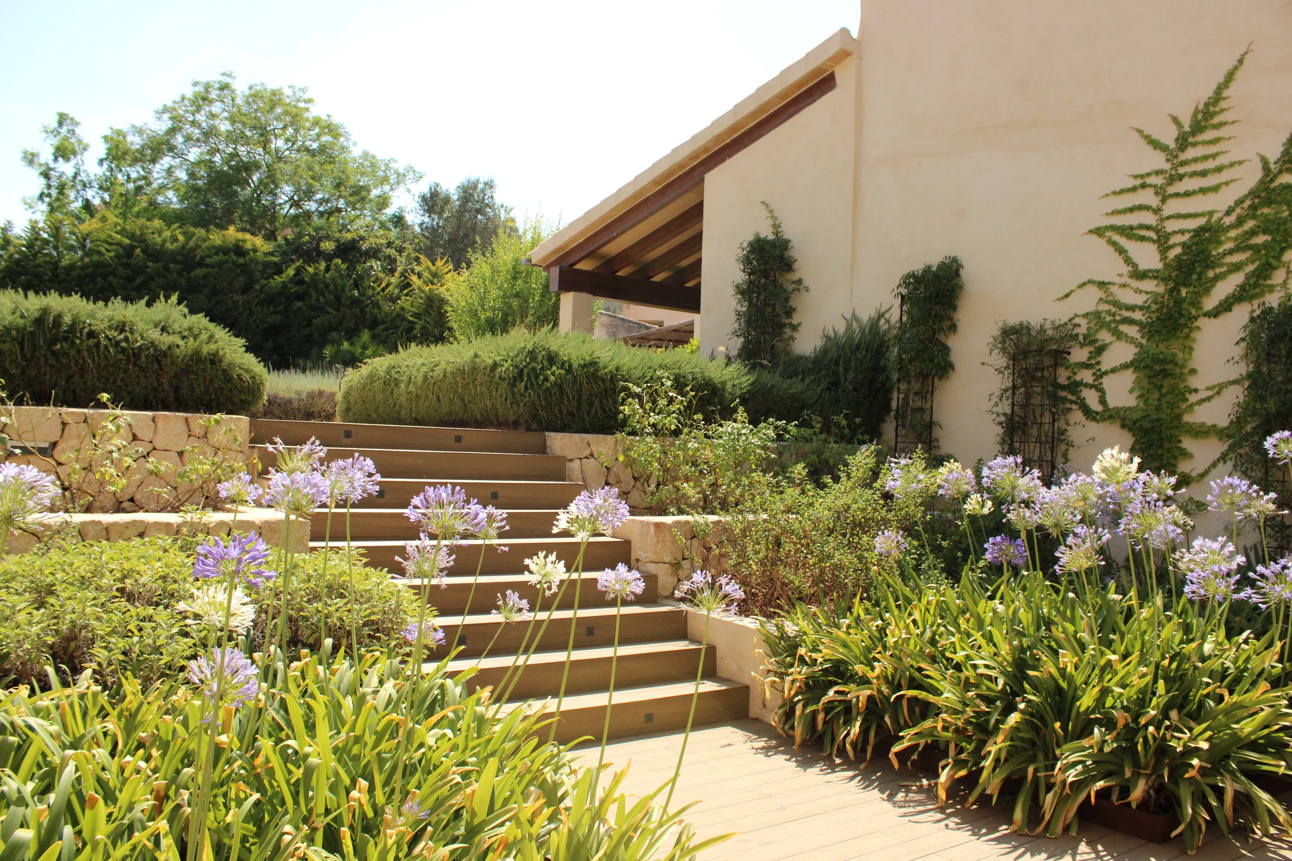 Garden Design Santa Eugènia, Mallorca — S'Estepa Design