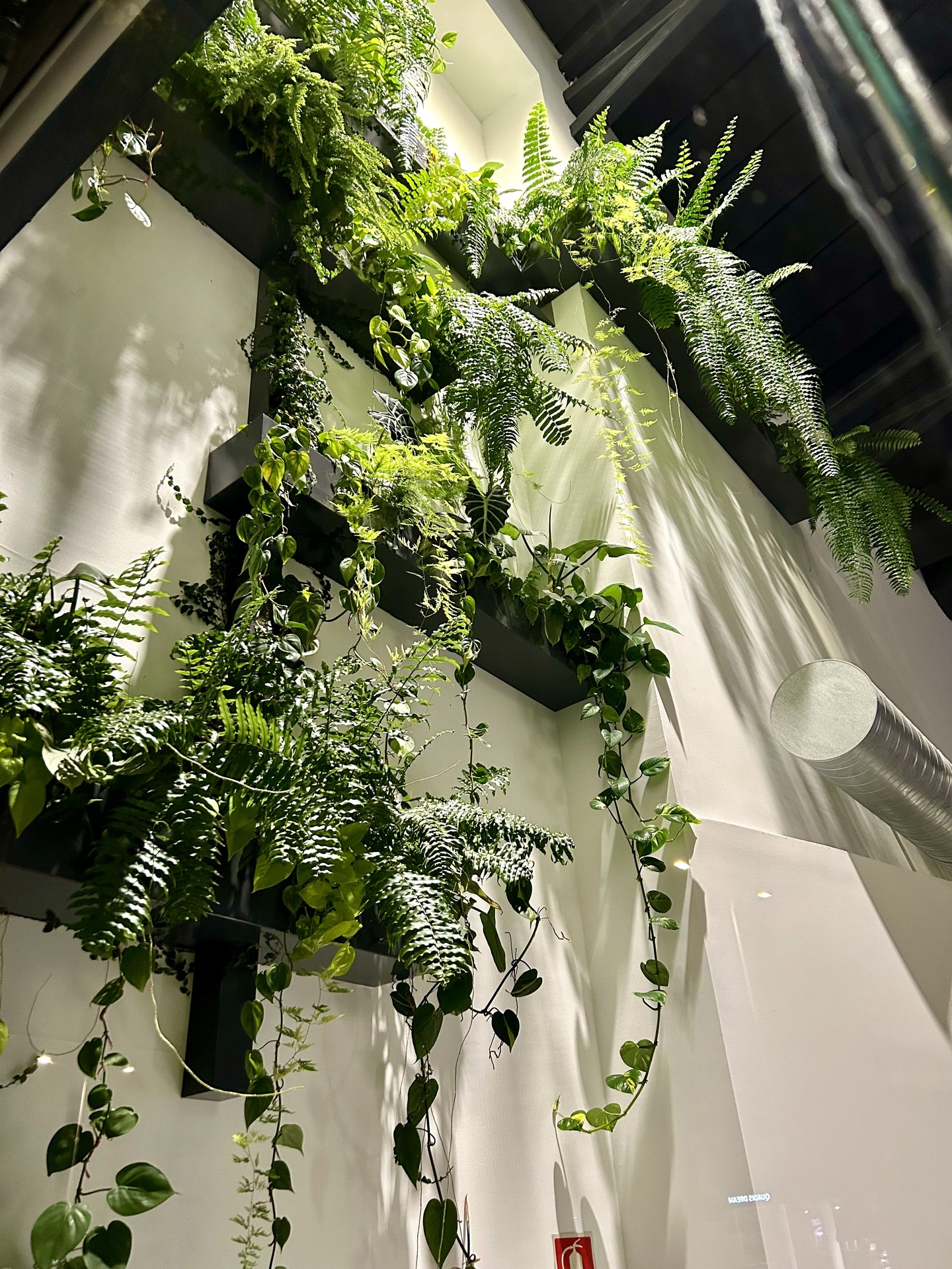 Hängende Pflanzenmodule im Innenbereich mit gesundem Wuchs und botanischem Volumen