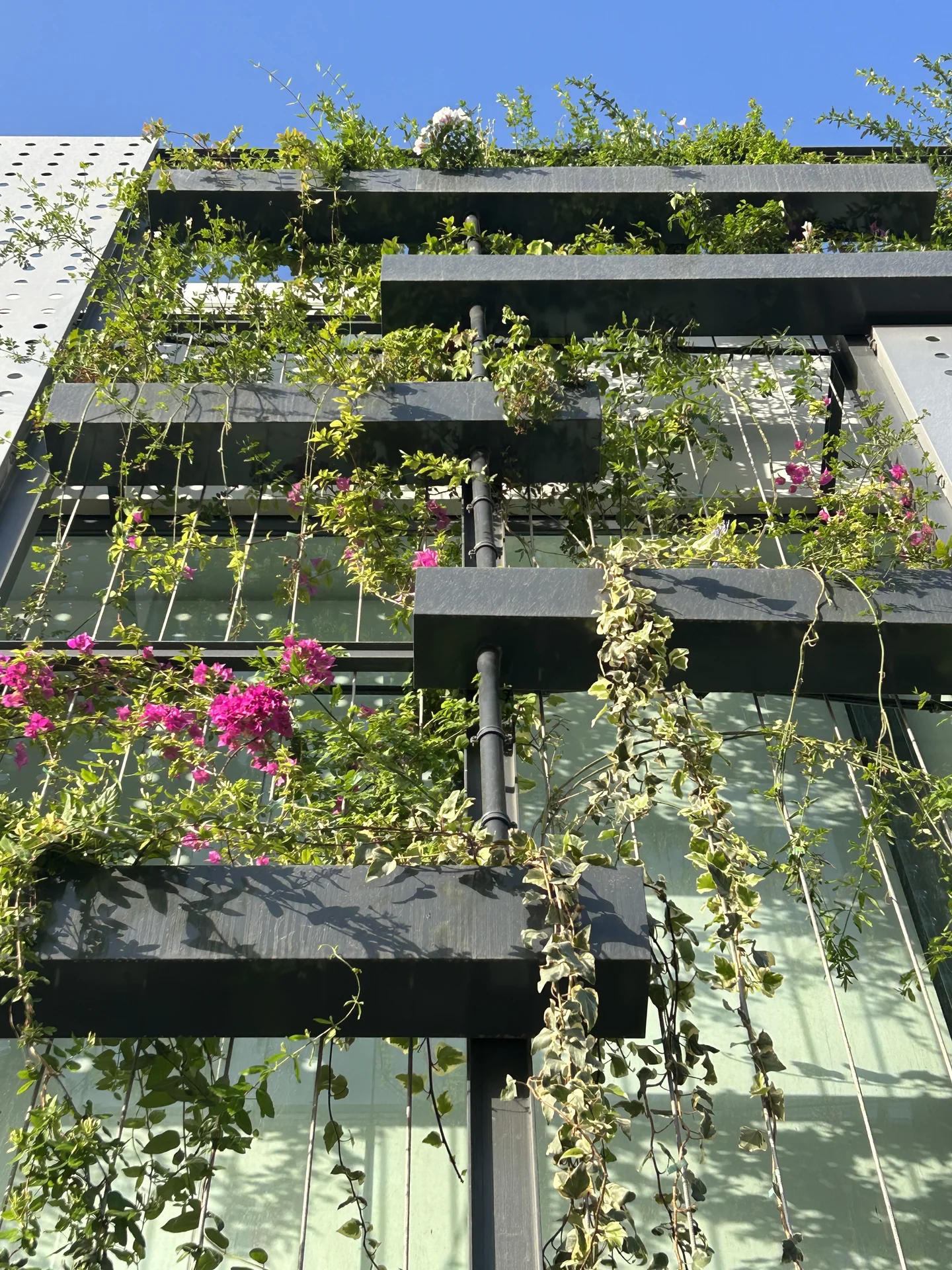 Vertikale Gärten auf Mallorca — Garden Design Mallorca, S'Estepa Design