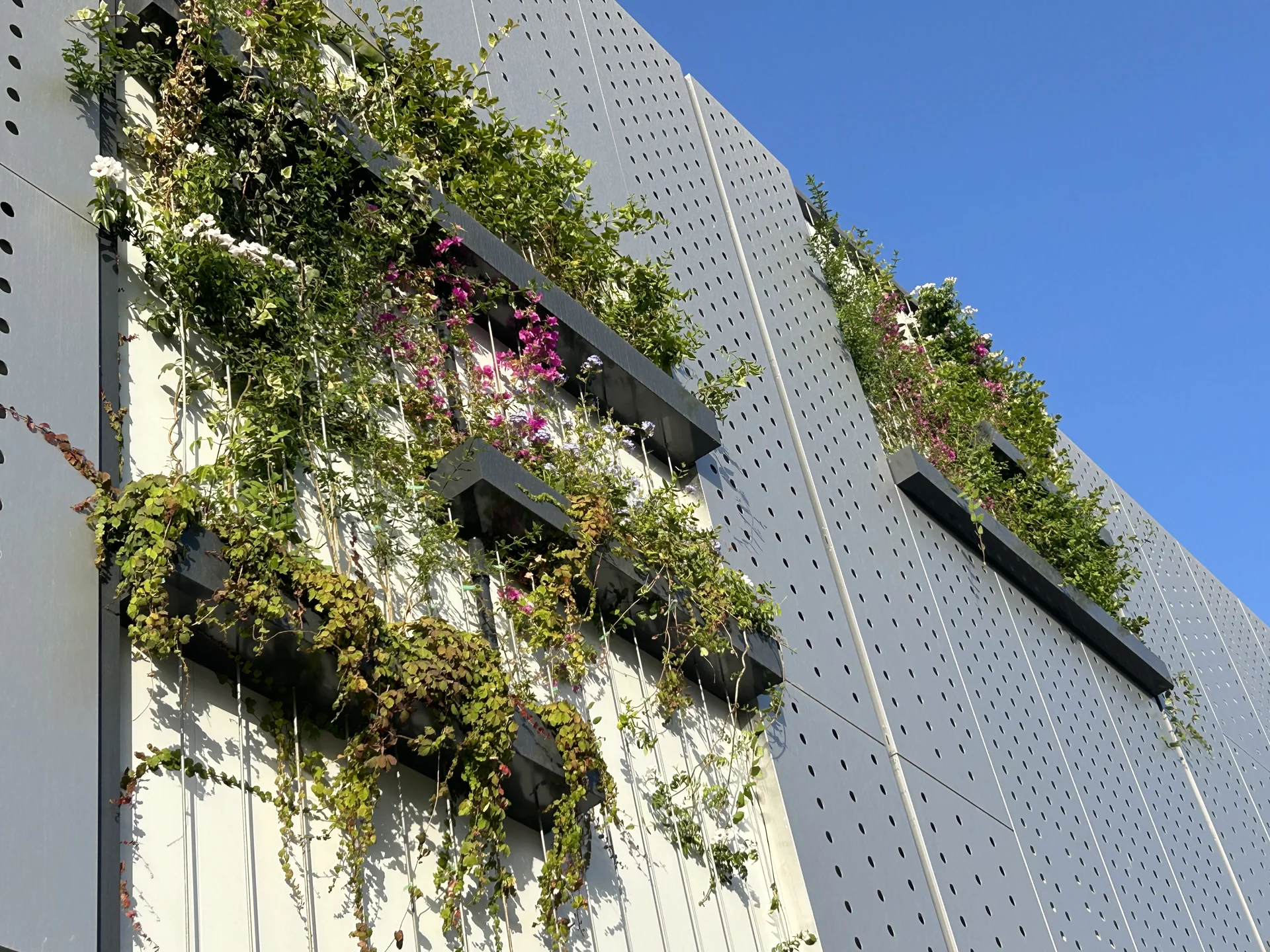Vertical Gardens in Mallorca