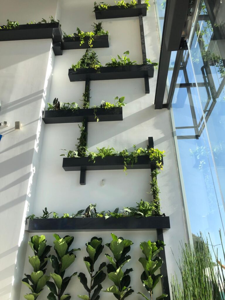 Vertikale Gärten auf Mallorca detail 6